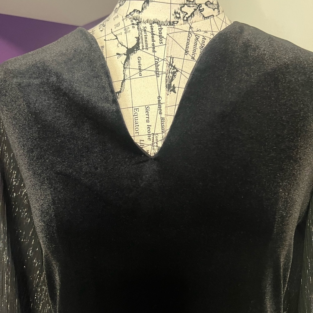 Connected Apparel Sheer Long Sleeve Velvety Dress - Picture 4 of 10